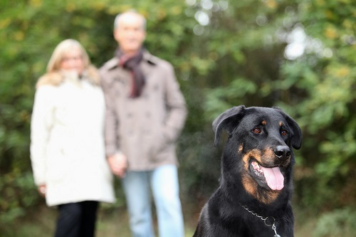Couple with dog Couple with dog