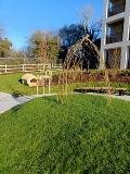 Willow structure and bench in Mountbatten View community garden