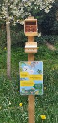 Solitary bee house, Tring Memorial Garden