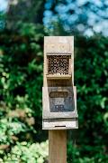 Solitary bee house, The Walled Garden, Gadebridge Park in Hemel Hempstead