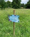 Wildflower area sign, Gadebridge Park