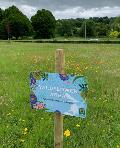 Wildflower area sign, Gadebridge Park