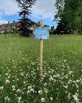 Wildflower area sign, Warners End