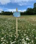Wildflower area sign, Warners End