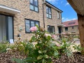 Coniston Road garden