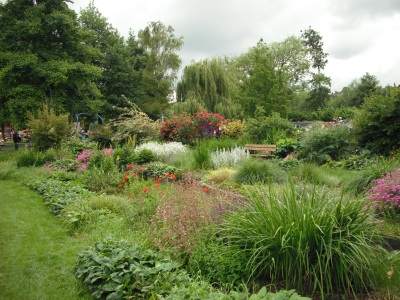 Canal Fields and bedding