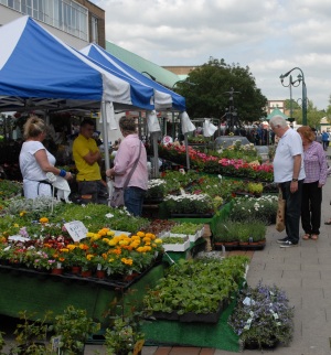 Hemel Hempstead market Flower stall in Hemel Hempstead market