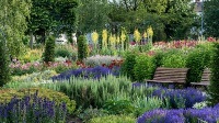 Water Gardens Flower Garden