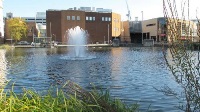 Water Gardens Fountain in the Lake